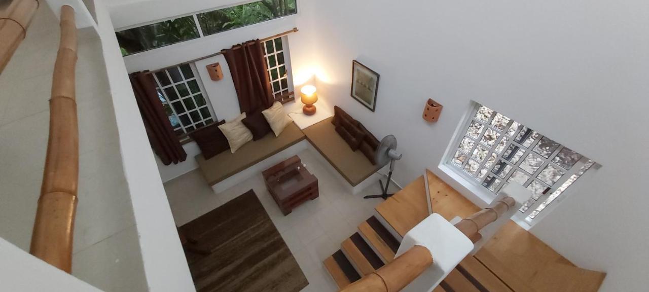 Mini Pini Bird Watching And Cenote Loft Vila Cozumel Exterior foto