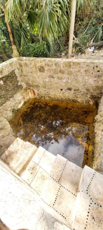 Mini Pini Bird Watching And Cenote Loft Vila Cozumel Exterior foto