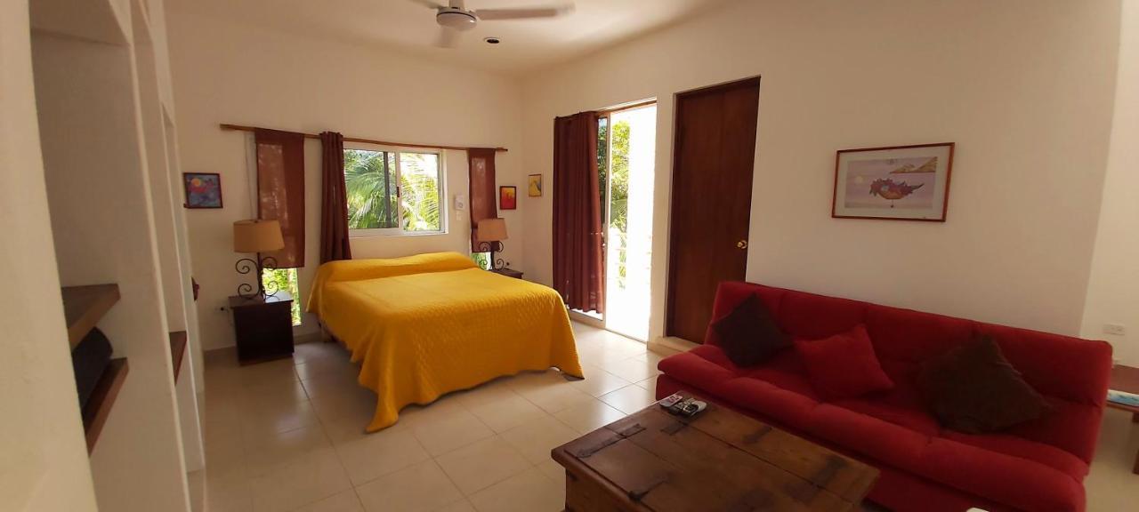 Mini Pini Bird Watching And Cenote Loft Vila Cozumel Exterior foto