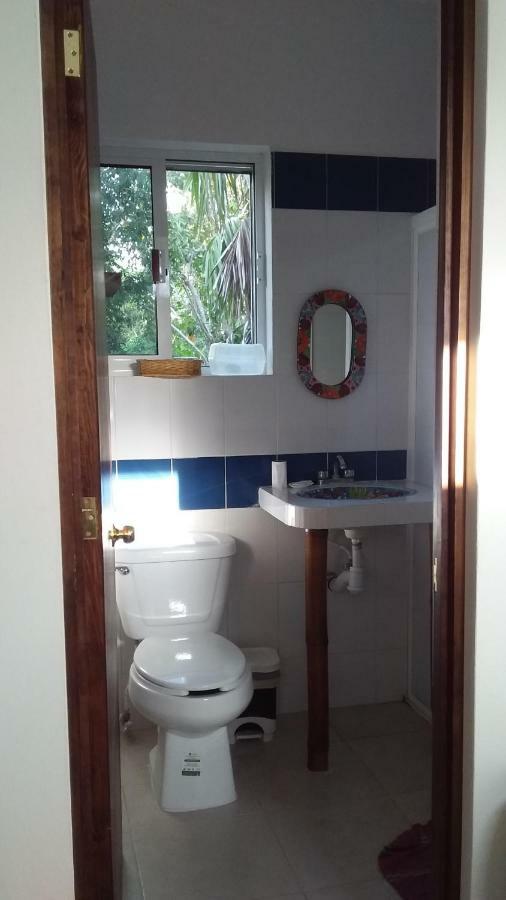 Mini Pini Bird Watching And Cenote Loft Vila Cozumel Exterior foto