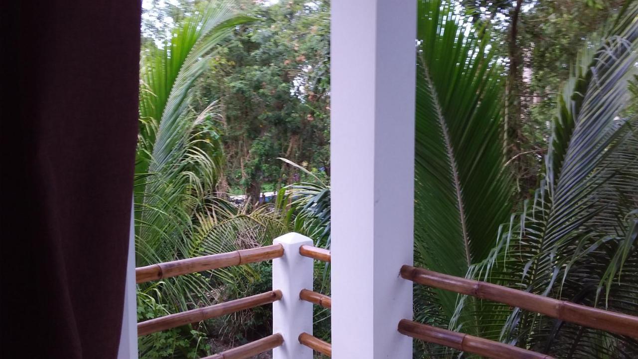Mini Pini Bird Watching And Cenote Loft Vila Cozumel Exterior foto