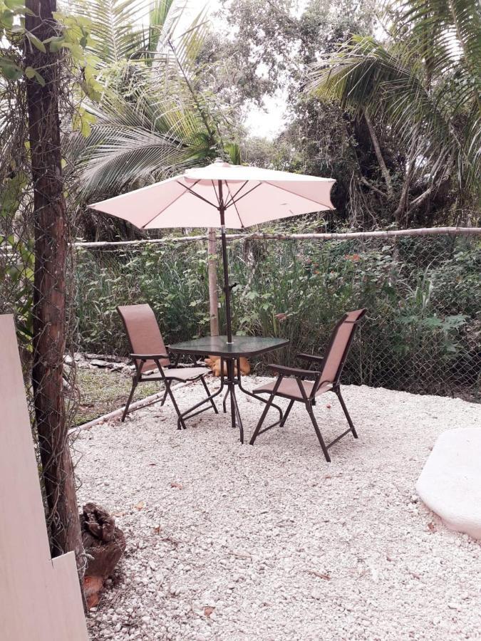 Mini Pini Bird Watching And Cenote Loft Vila Cozumel Exterior foto