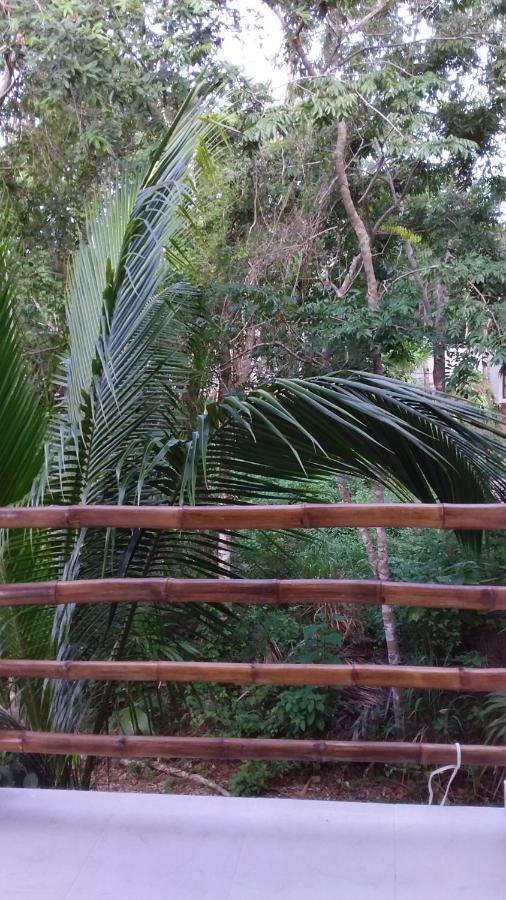 Mini Pini Bird Watching And Cenote Loft Vila Cozumel Exterior foto