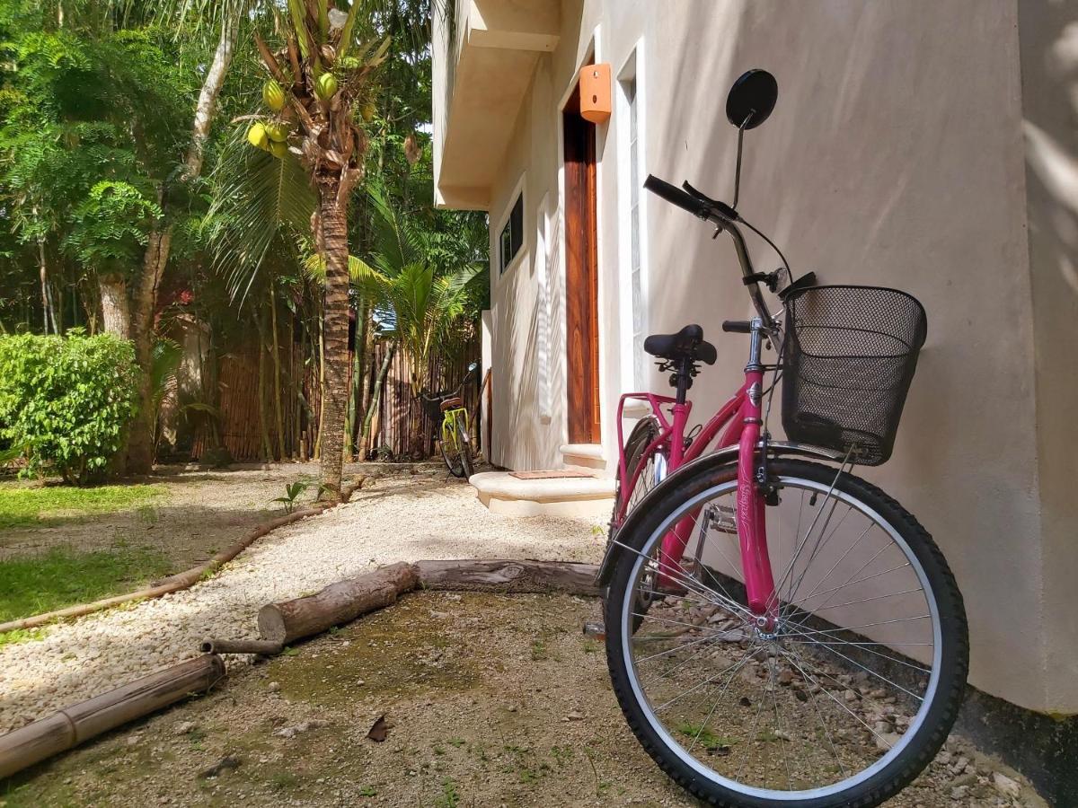 Mini Pini Bird Watching And Cenote Loft Vila Cozumel Exterior foto