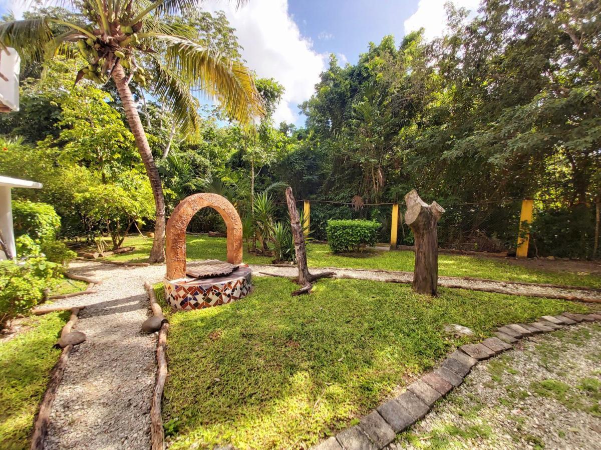 Mini Pini Bird Watching And Cenote Loft Vila Cozumel Exterior foto