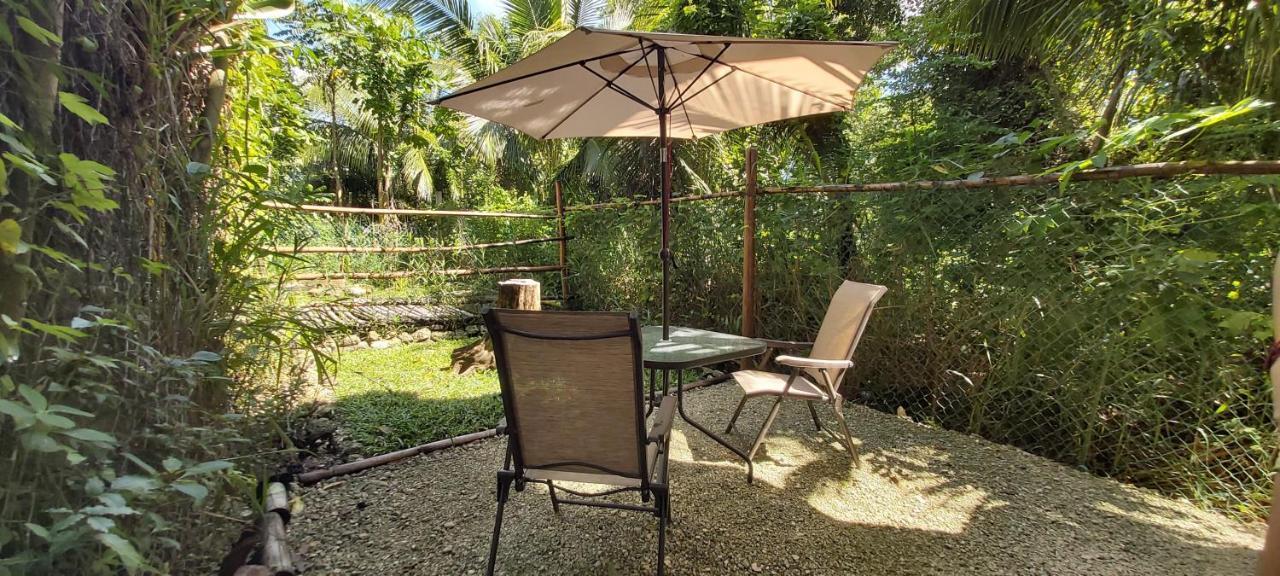 Mini Pini Bird Watching And Cenote Loft Vila Cozumel Exterior foto