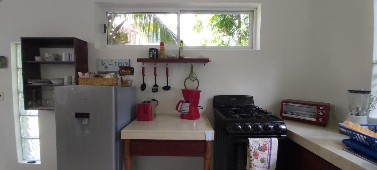 Mini Pini Bird Watching And Cenote Loft Vila Cozumel Exterior foto