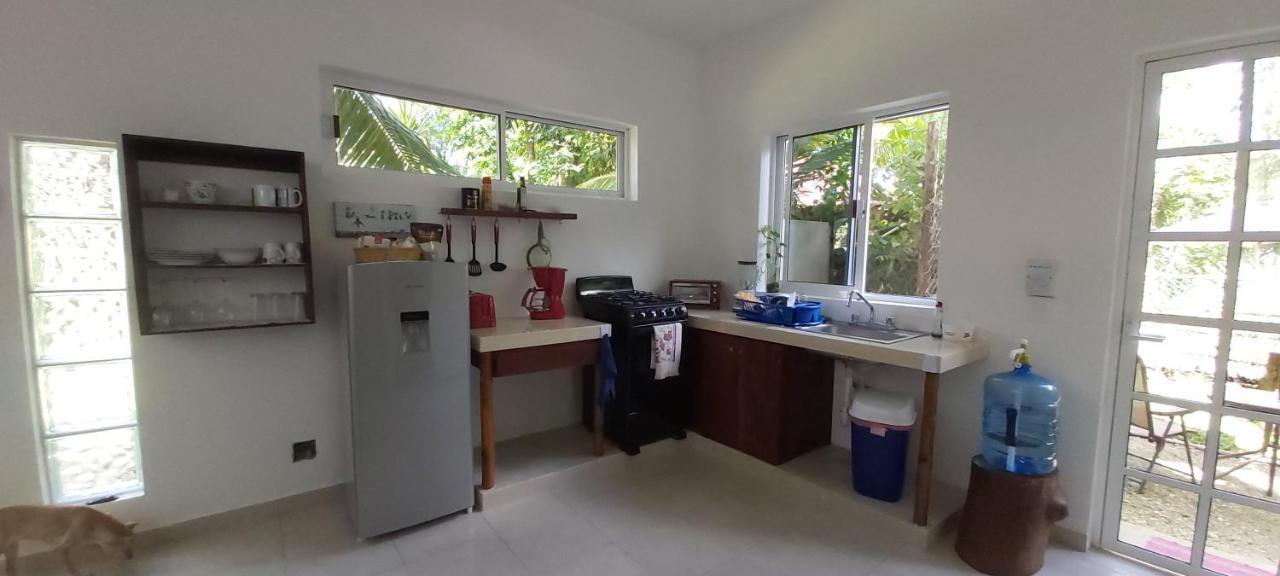 Mini Pini Bird Watching And Cenote Loft Vila Cozumel Exterior foto