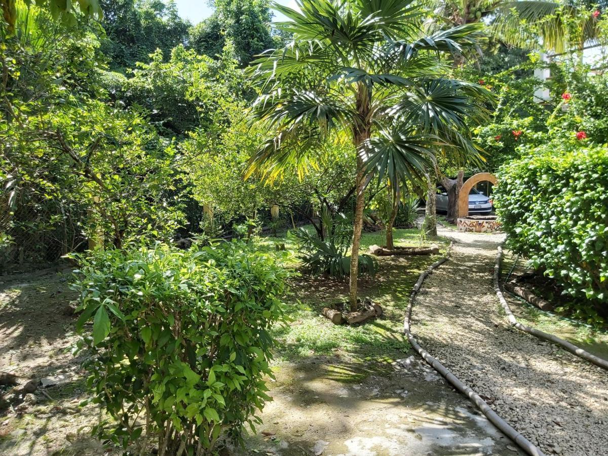 Mini Pini Bird Watching And Cenote Loft Vila Cozumel Exterior foto