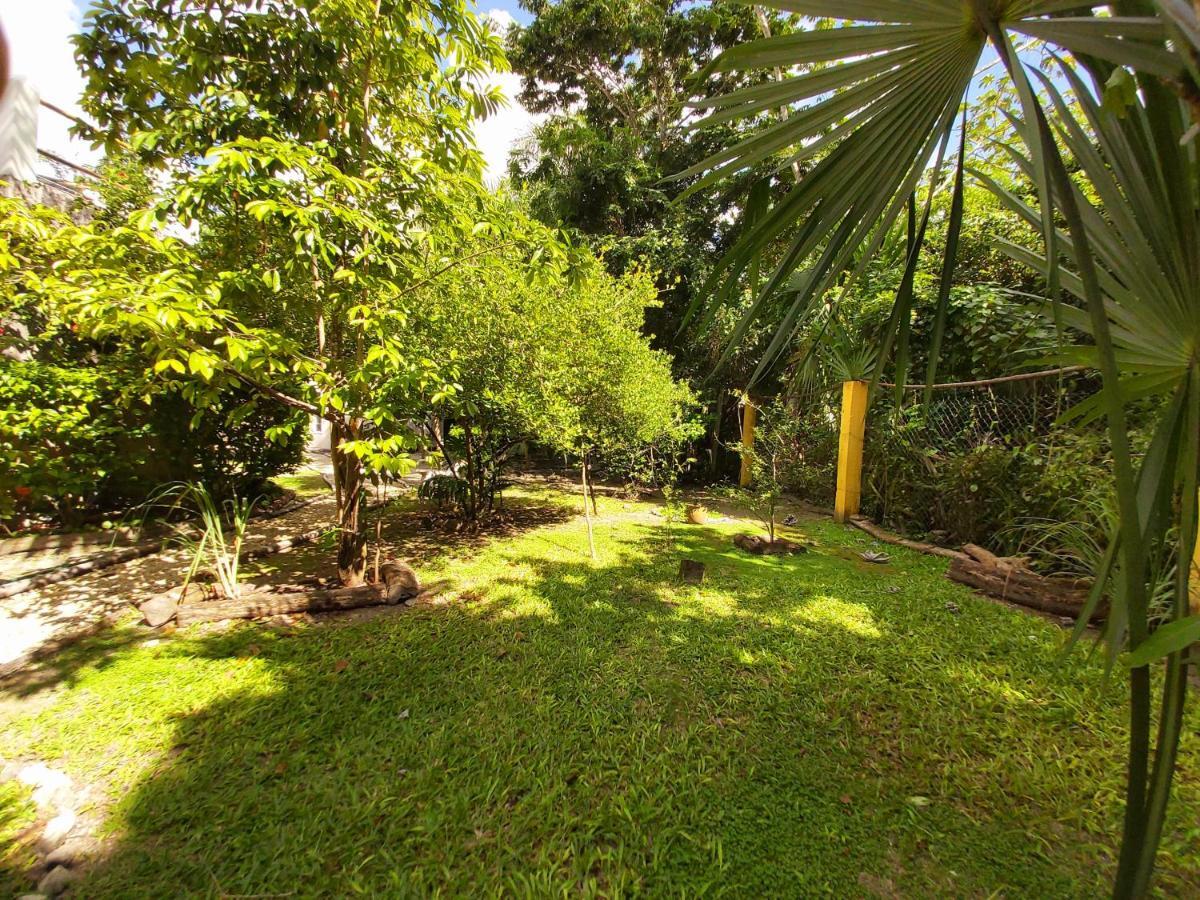 Mini Pini Bird Watching And Cenote Loft Vila Cozumel Exterior foto